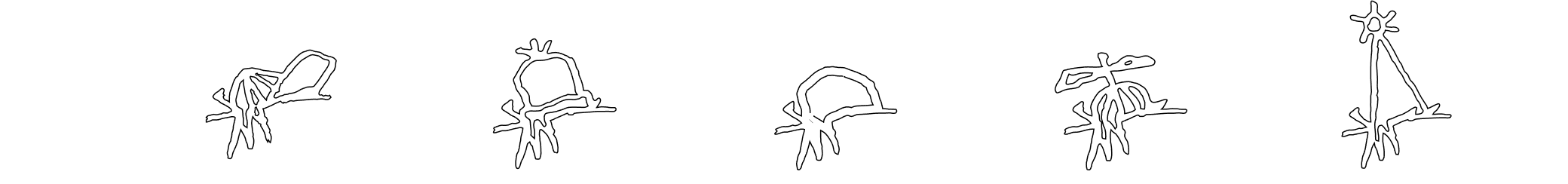 Meet the team