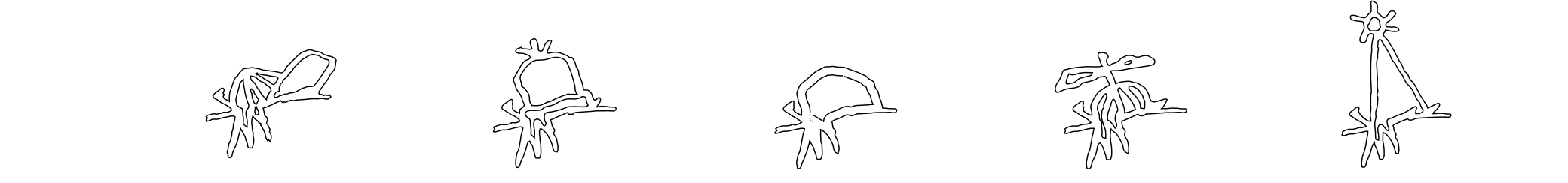 Meet the team